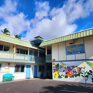 https://arnotts-lodge-hiking-adventures.hotelsinhawaii.org